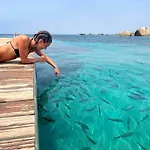 Aurea In Castiadas *