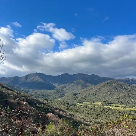 Aurea In Castiadas Annunziata (Sardinia)