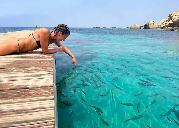 Aurea In Castiadas *