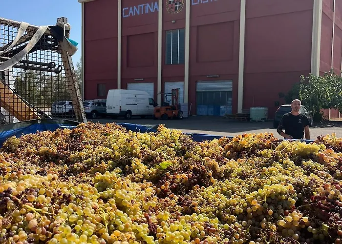 Aurea In Castiadas Дом отдыха Annunziata (Sardinia)