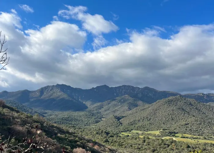 Aurea In Castiadas Annunziata (Sardinia)